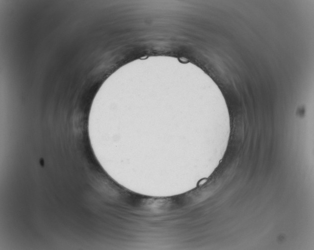 X0000116660135201001111258