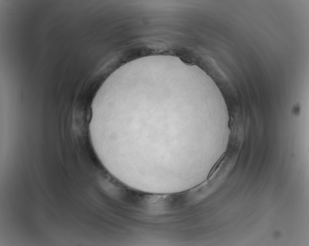 X0000116660136201001111258