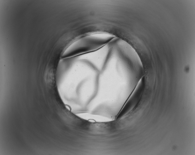 X0000116660137201001111258
