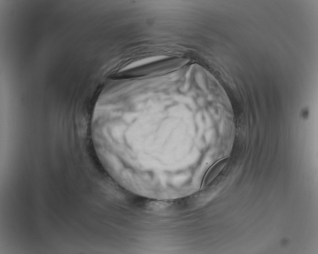 X0000116660139201001111258