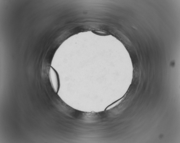 X0000116660141201001111258