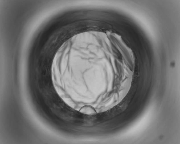 X0000116660143201001111258