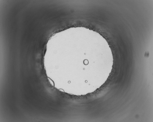 X0000116660144201001111258