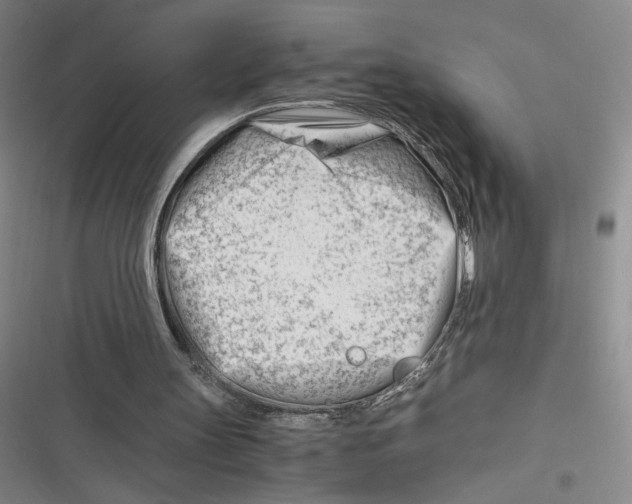 X0000116660147201001111257