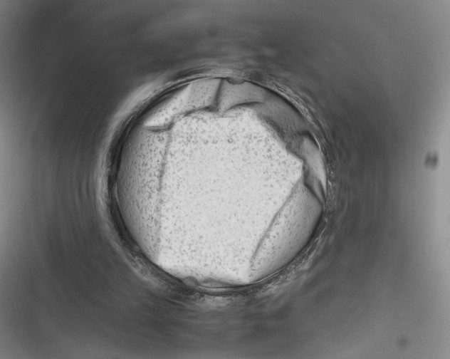 X0000116660149201001111257