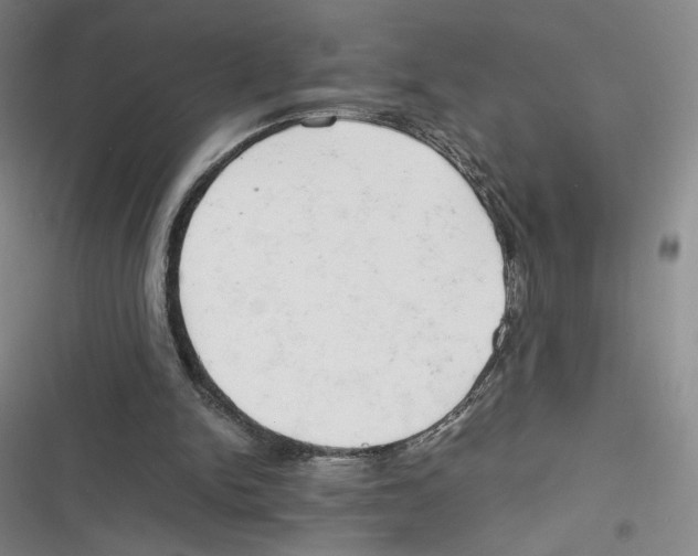 X0000116660150201001111257