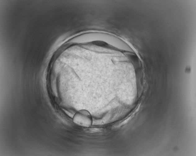 X0000116660151201001111257
