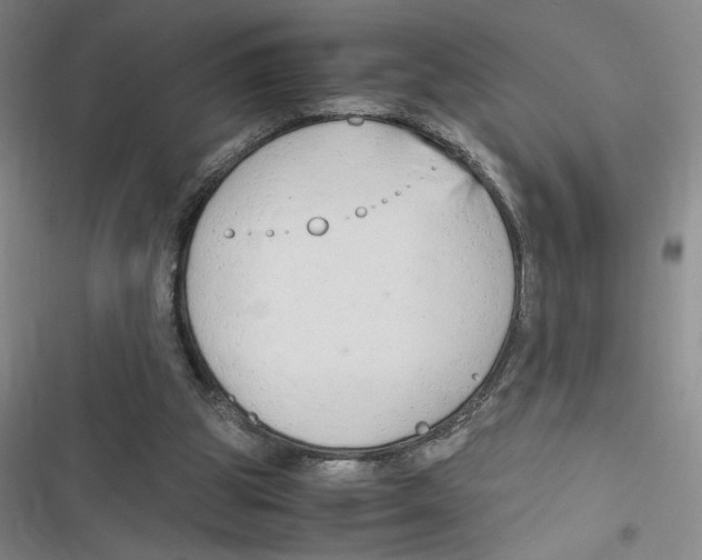 X0000116660153201001111257