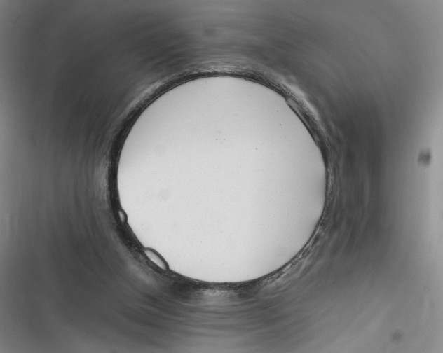 X0000116660154201001111257