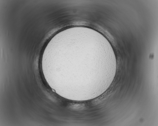 X0000116660155201001111257