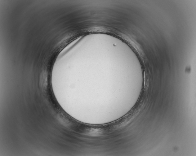 X0000116660157201001111257