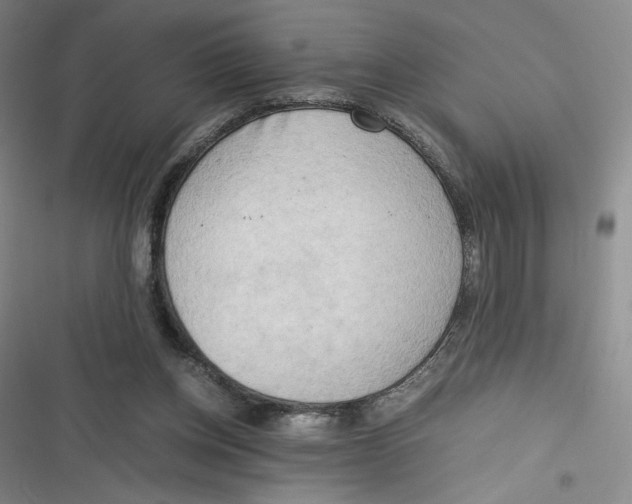 X0000116660158201001111257