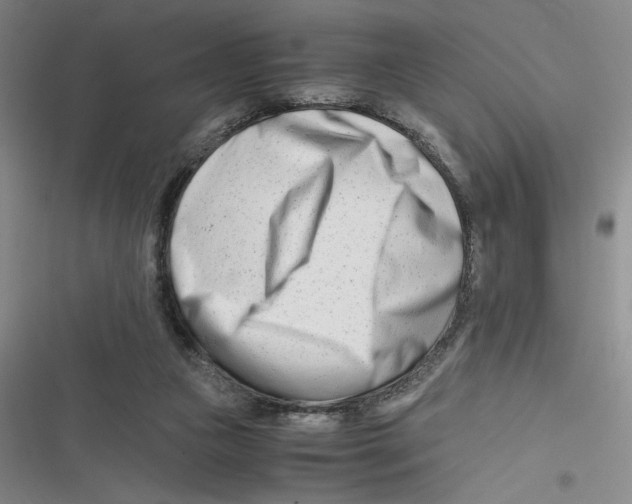 X0000116660161201001111257