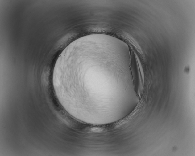 X0000116660163201001111257