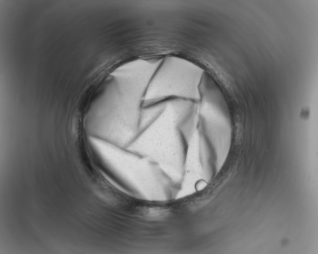 X0000116660165201001111257