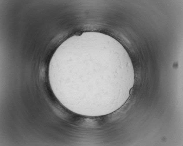 X0000116660166201001111257