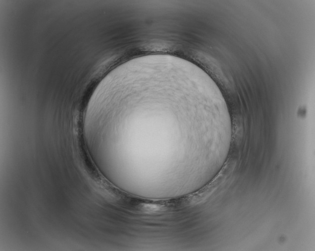 X0000116660167201001111257