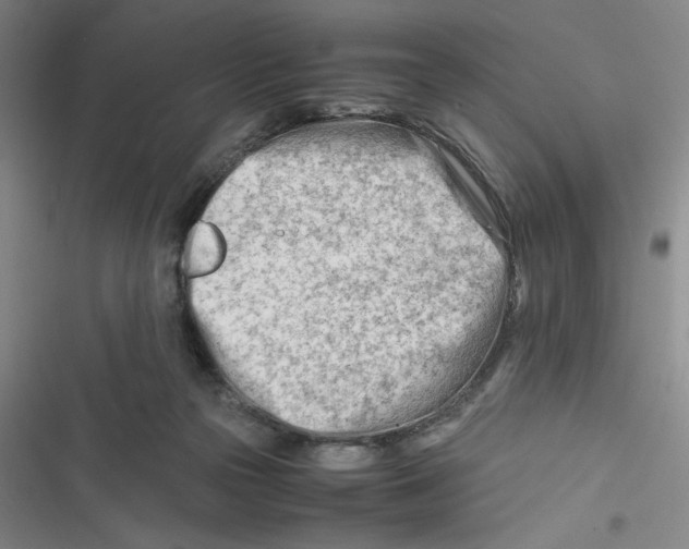 X0000116660169201001111257