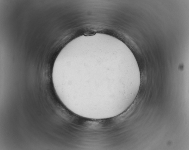 X0000116660170201001111257