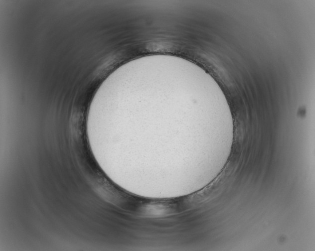X0000116660171201001111257