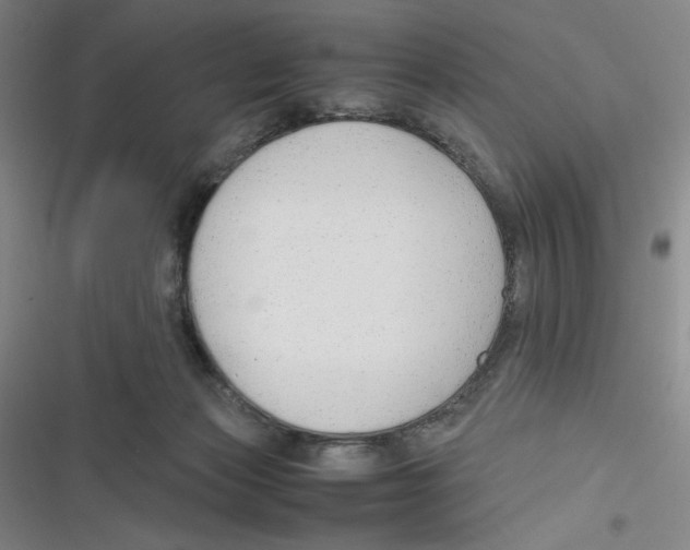 X0000116660173201001111257