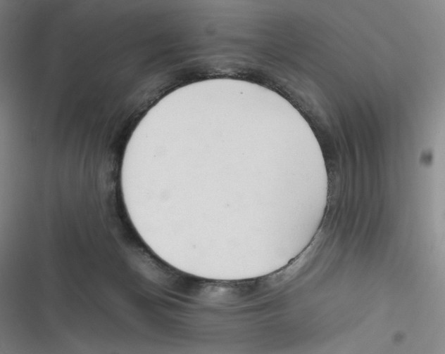 X0000116660174201001111257