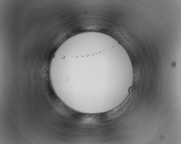 X0000116660175201001111257