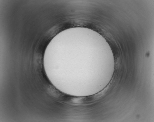 X0000116660178201001111257