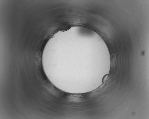 X0000116660179201001111257