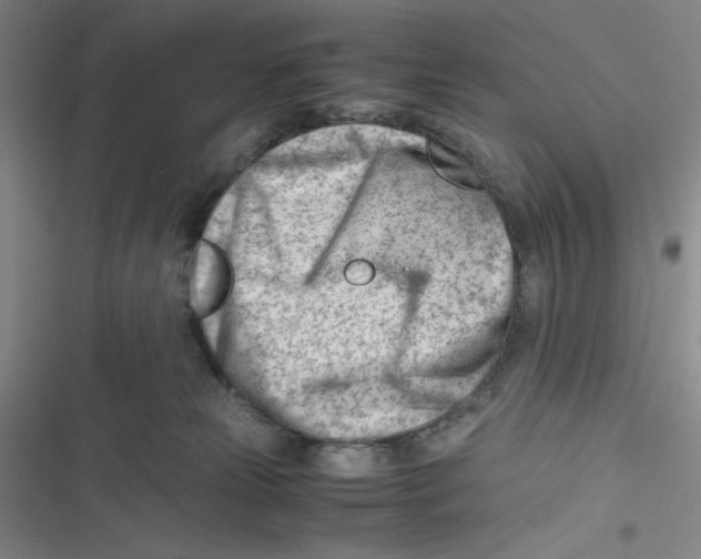 X0000116660181201001111257