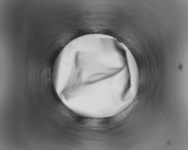 X0000116660182201001111257