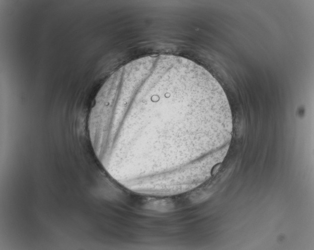 X0000116660185201001111257