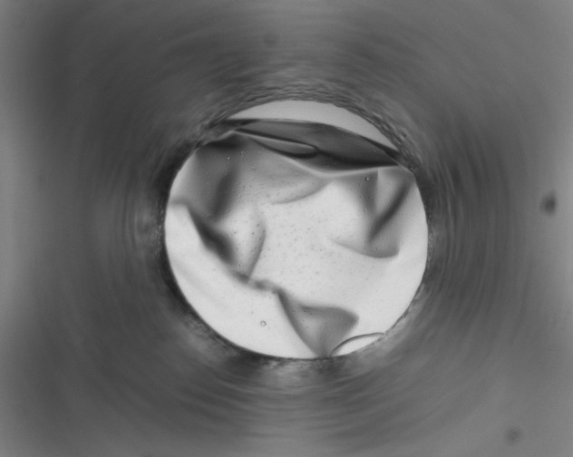 X0000116660186201001111257