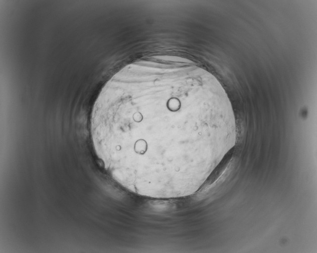 X0000116660187201001111257