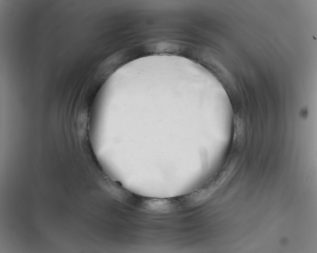 X0000116660189201001111258