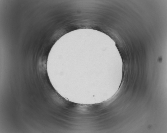 X0000116660190201001111258