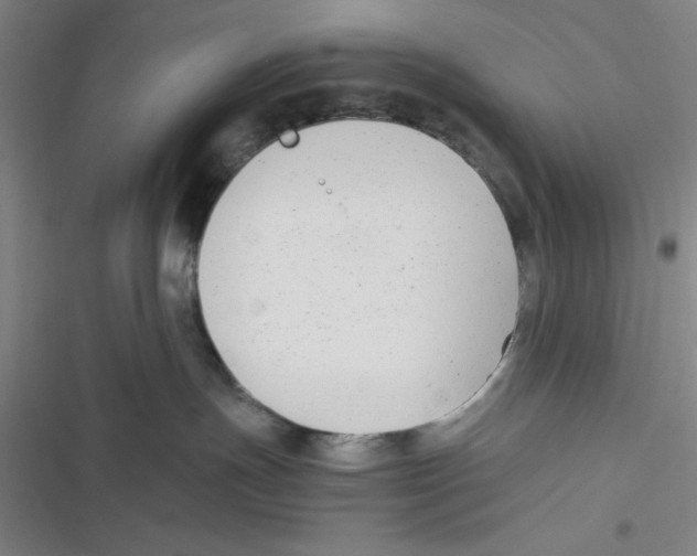 X0000116660191201001111258