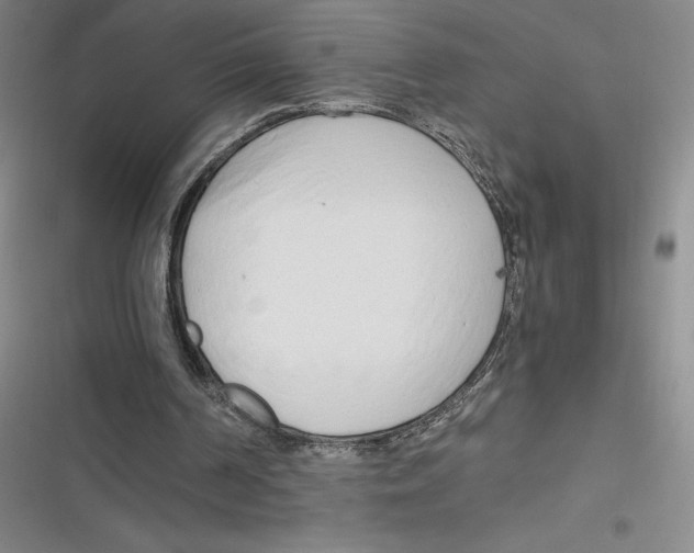 X0000116660194201001111257
