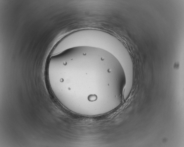 X0000116660195201001111257