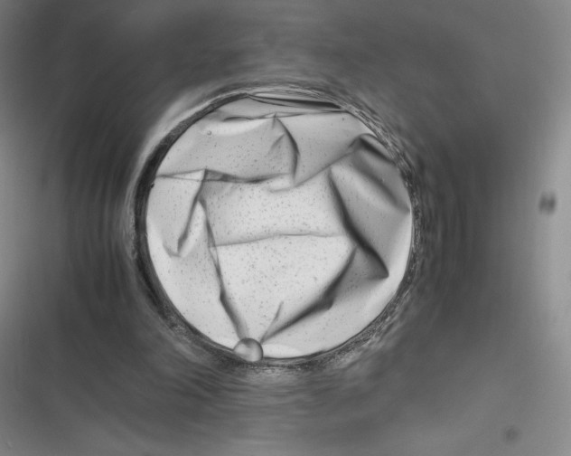 X0000116660198201001111257