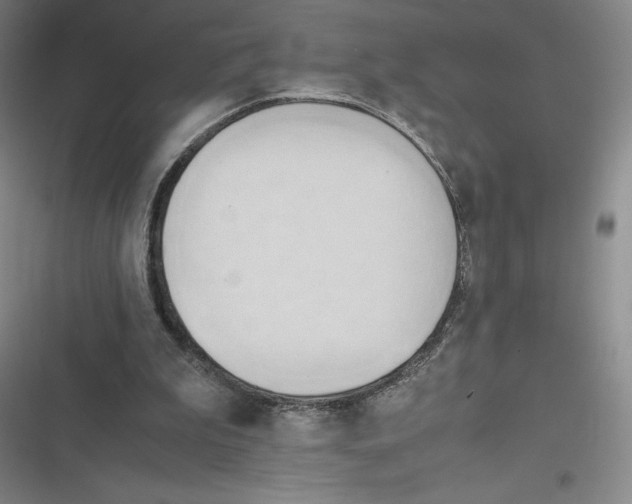 X0000116660199201001111257