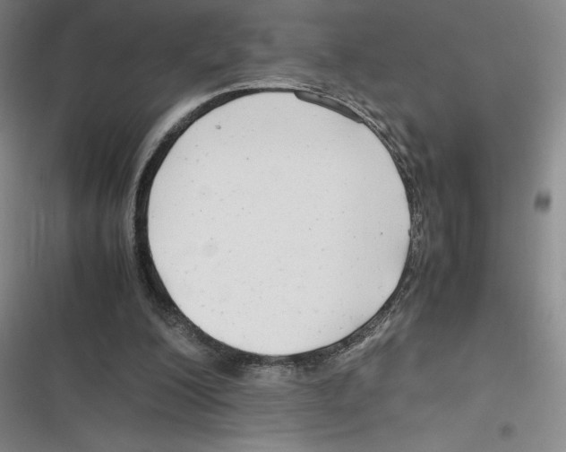 X0000116660200201001111257