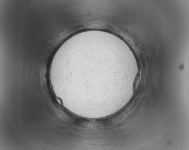 X0000116660201201001111257