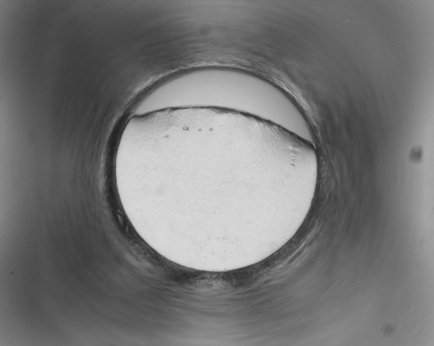 X0000116660203201001111257