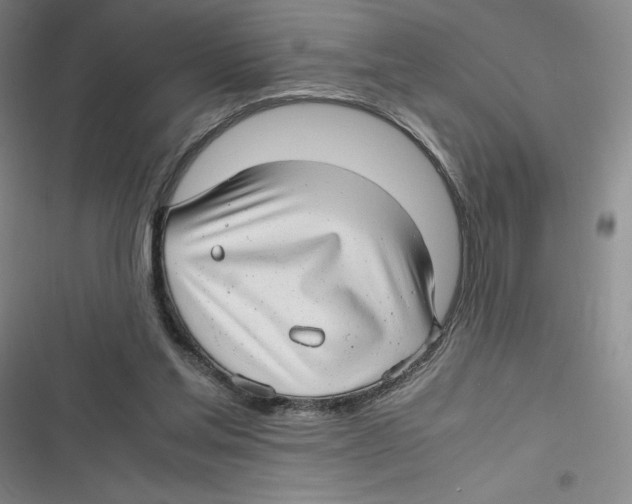 X0000116660205201001111257
