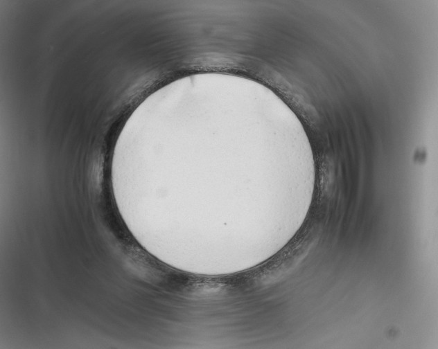 X0000116660206201001111257