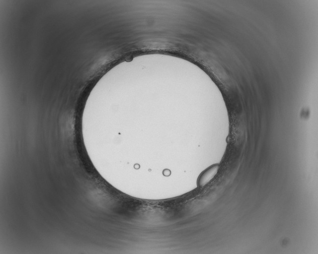 X0000116660207201001111257