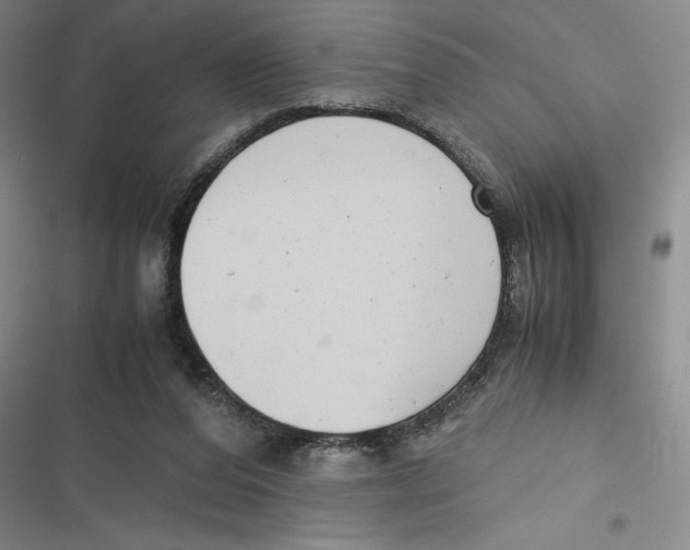 X0000116660208201001111257