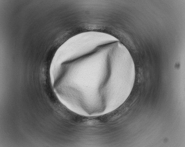 X0000116660210201001111257