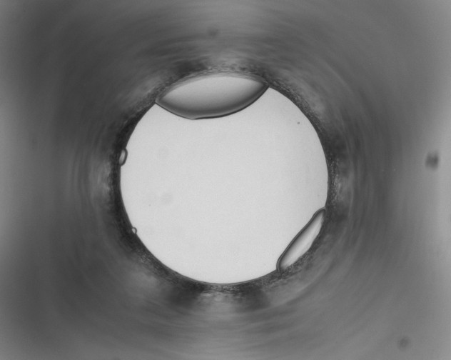 X0000116660211201001111257